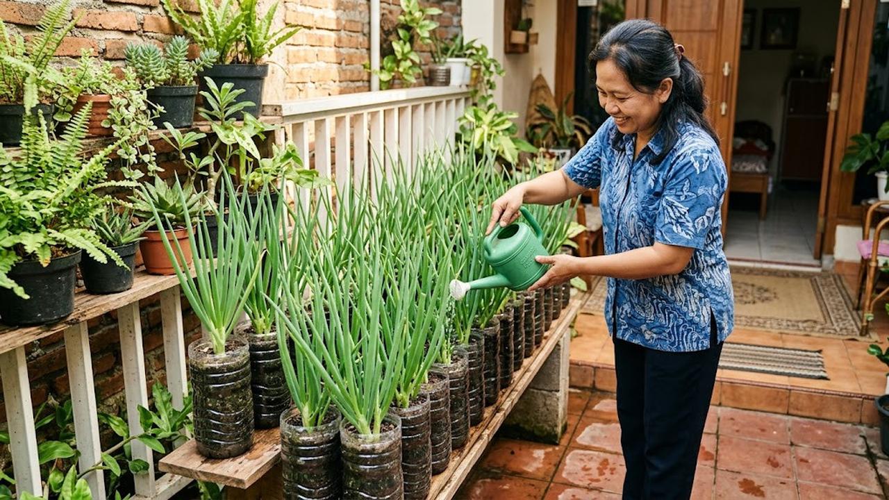 Daun Bawang