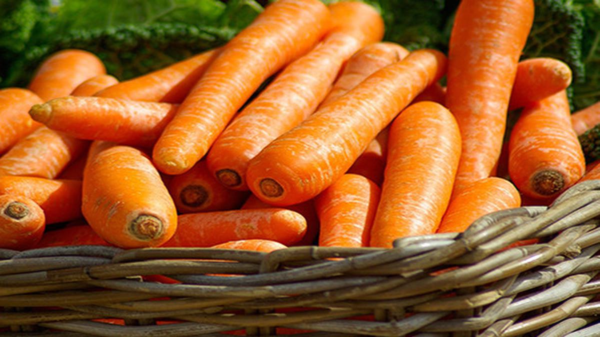 4 Trik Ampuh Supaya Wortel Keriput Jadi Segar Lagi, Dijamin Renyah