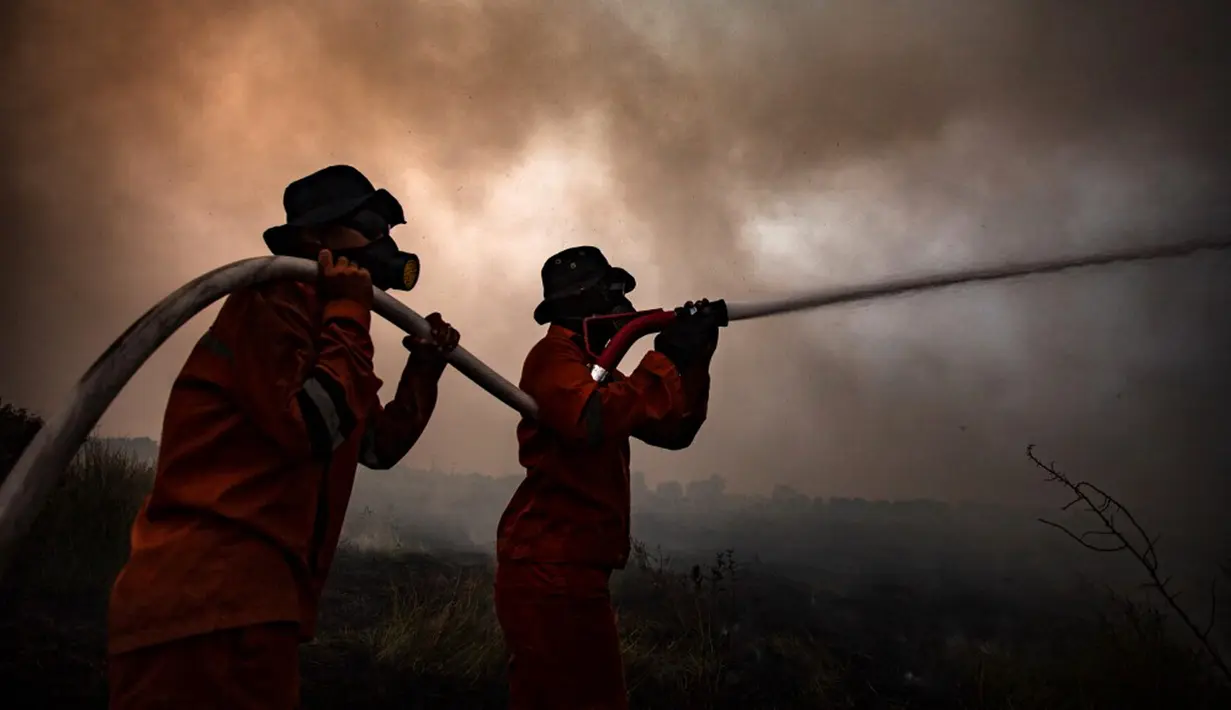 <p>Petugas pemadam kebakaran berusaha memadamkan kebakaran lahan gambut di Palembang, Sumatera Selatan, Rabu (4/10/2023). Kabut tebal menyelimuti Palembang menyusul terjadinya lebih dari 300 kebakaran hutan dan lahan (Karhutla) di Sumatra Selatan. (Al ZULKIFLI/AFP)</p>