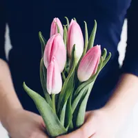 Makna Warna Pink dan Hijau dalam 17+8 Tuntutan Rakyat: Transparansi, Reformasi, dan Empati./Copyright depositphotos.com/Anastasiia.Chepinska