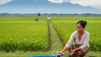 7 Ide Ternak Ikan di Kolam Terpal untuk IRT yang Tinggal Dekat Sawah dan Mudah Dipelihara