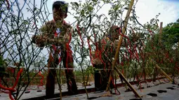 Panen tersebut akan dilakukan secara bertahap hingga Januari 2025. (merdeka.com/Arie Basuki)