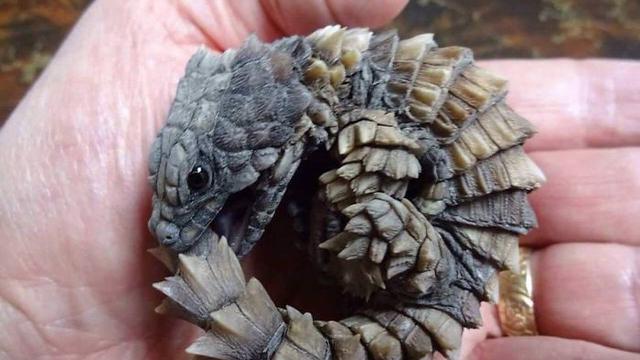 8 Potret Ini Mesti Anda Lihat Dua Kali Baru Bisa Paham