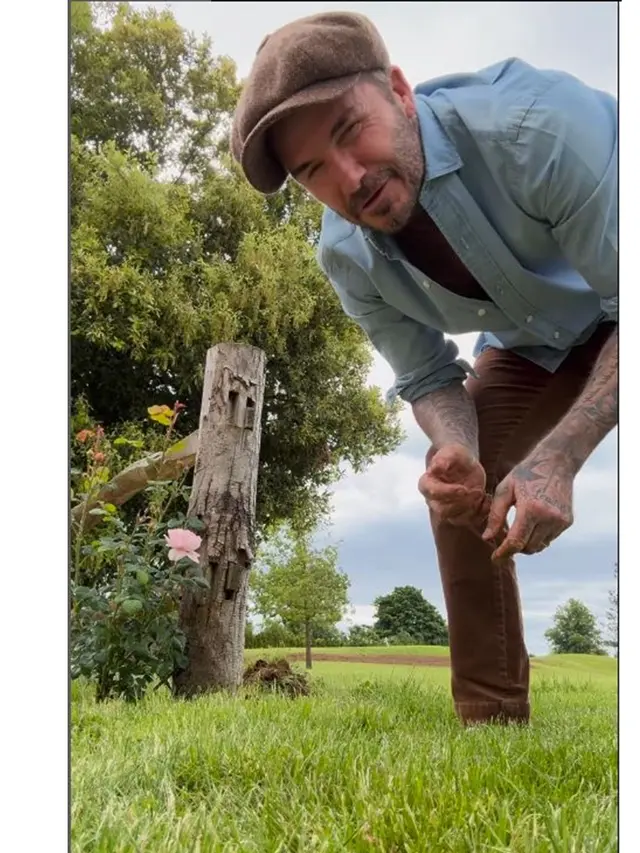 6 Potret David Beckham saat Berkebun, Panen Daun Bawang untuk Victoria