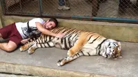 Selfie Dengan Harimau Bisa Didenda Jutaan Rupiah