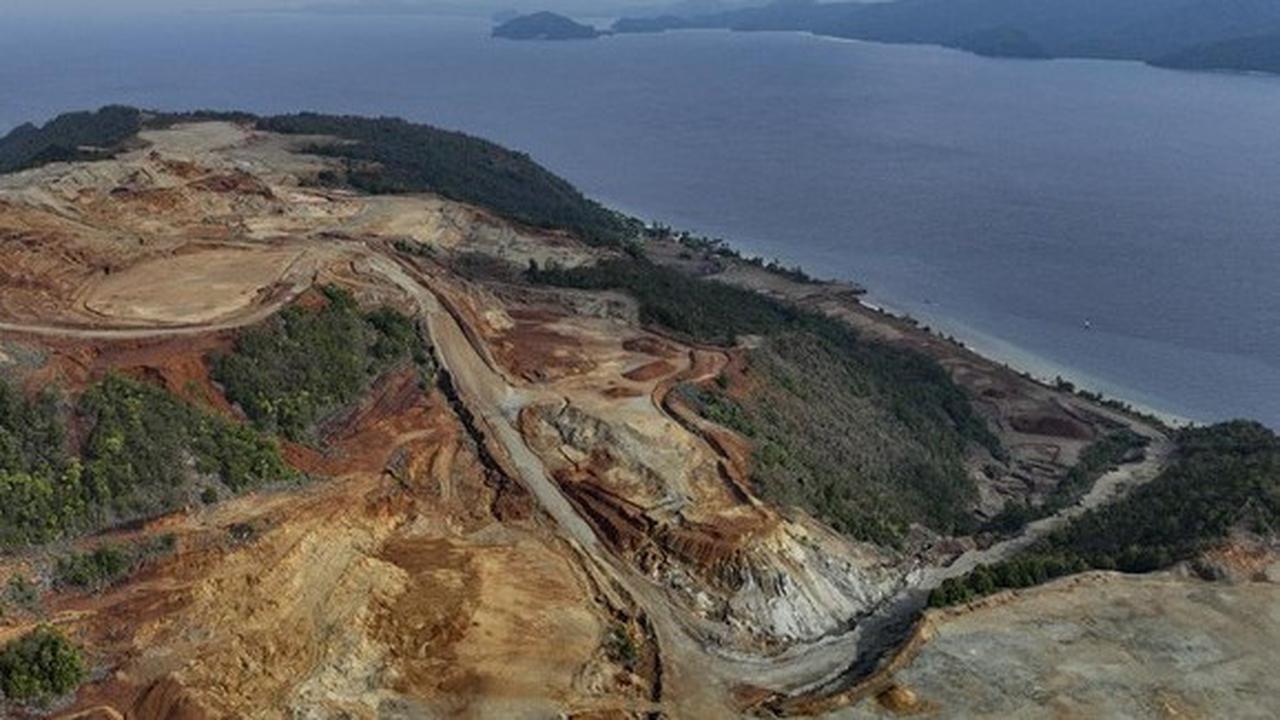 Tak Bergantung APBD, Daerah Kini Makin Kreatif Cari Pendanaan untuk Perlindungan Hutan