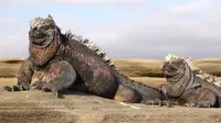 Iguana laut di Kepulauan Galapagos. (Creative Commons)