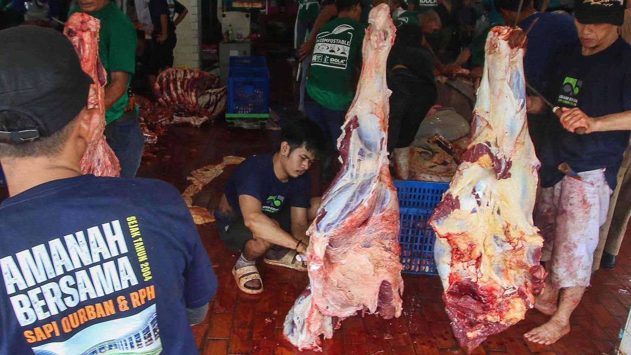 FOTO: Daging Sapi Kurban Prabowo dan Gibran di  Mesjid Istiqlal Akan Dimasak dan  Dibagikan Kepada Anak-Anak Yatim