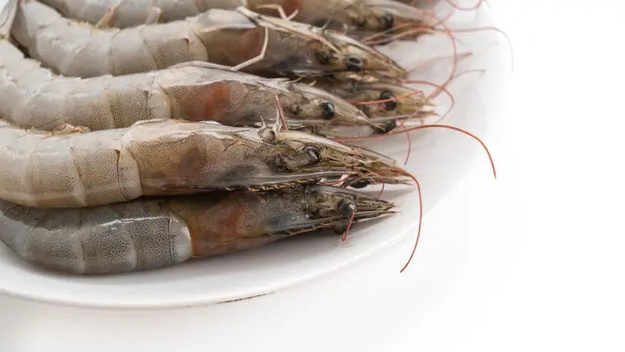 Buntut Kasus Radioaktif Cesium-137, FDA AS Wajibkan Langkah Ini untuk Udang dan Rempah dari Jawa-Lampung