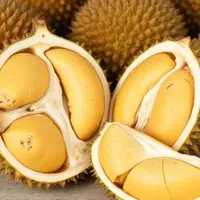 Masa Panen Durian Lokal Tiba, Dokter Wanti-Wanti Jangan Sampai Kalap. Foto dibuat oleh AI.