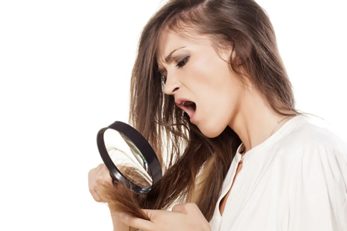 ©shutterstock