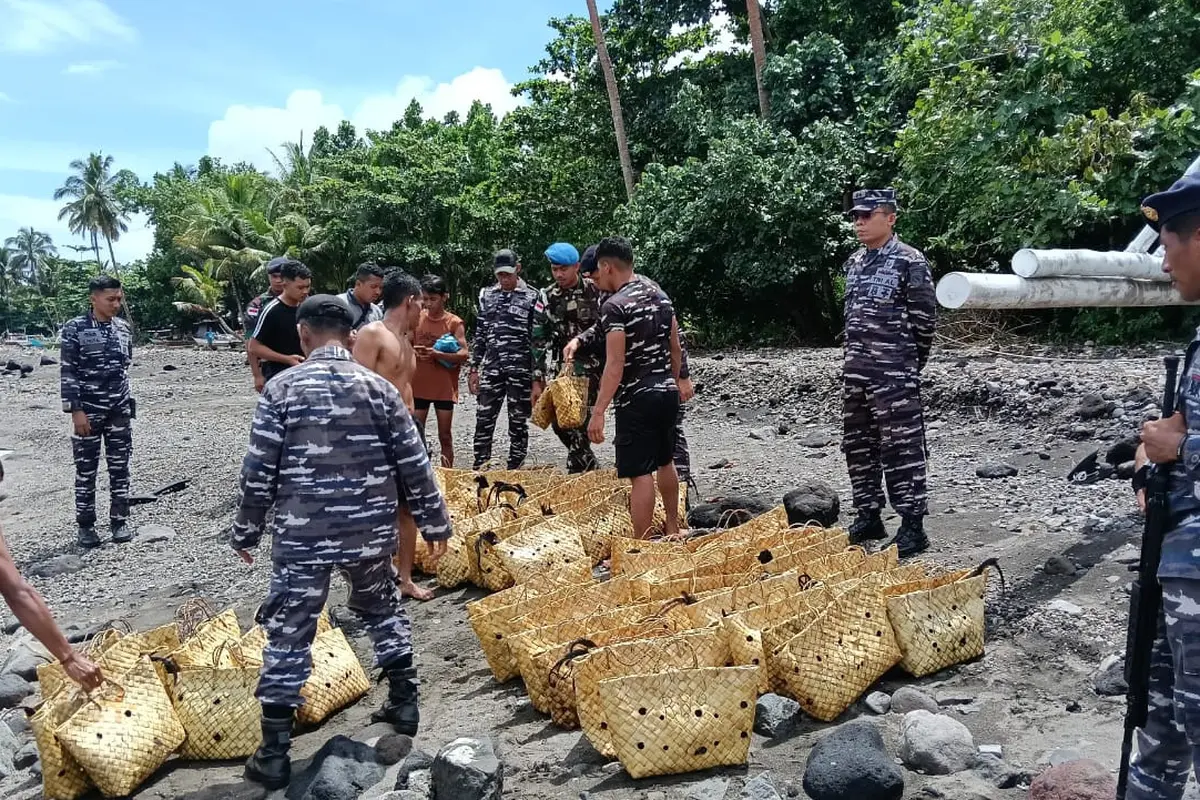 Prajurit TNI AL menangkap kapal yang mengangkut ayam ras Filipina dan barang campuran minuman keras tanpa cukai (Istimewa)