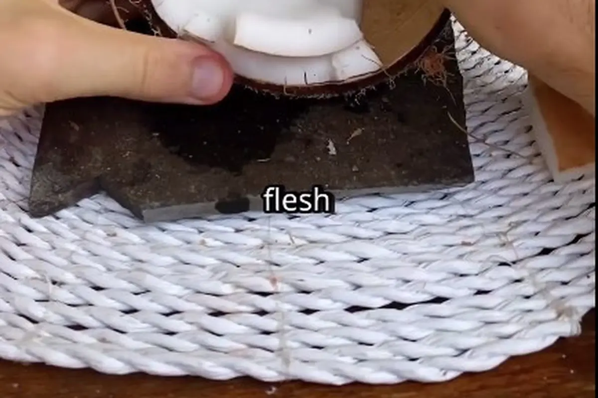 Modal 1 Bahan Dapur, Ini Cara Pisahkan Daging Kelapa dengan Mudah