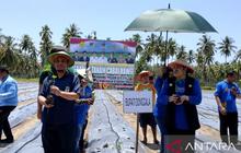 Tahukah Anda? Pemkab Donggala Subsidi 3% Bunga KUR untuk Petani, Dorong Ketahanan Pangan Daerah
