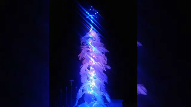 Pohon Natal