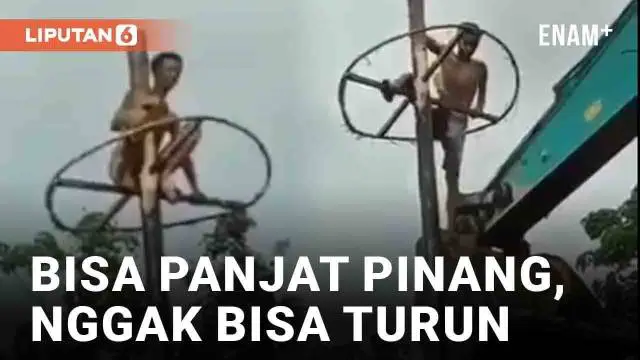 Beragam momen unik lomba 17 Agustusan di berbagai daerah terekam kamera, salah satunya panjat pinang berikut. Seorang pria terekam berada di puncak batang pinang dan tak bisa turun. Ekskavator sampai dikerahkan untuk mengevakuasi hingga buat warganet...