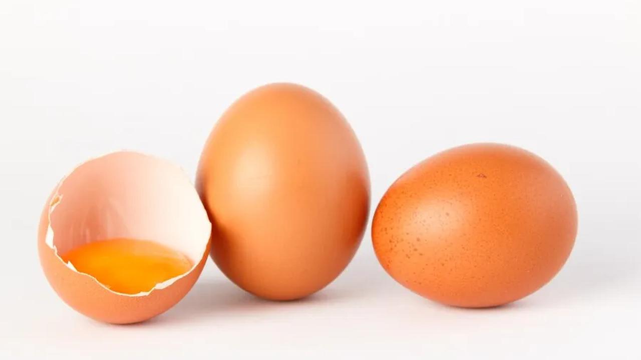 Selain itu, telur juga membantu membangun dan memperbaiki jaringan tubuh, menjaga kesehatan otot, dan mendukung kesehatan tulang.