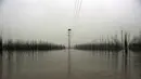 Kabut menutupi lanskap di daerah banjir dekat Sungai Ebro di desa kecil Alcala de Ebro, provinsi Aragon, Spanyol utara (13/12/2021). Hujan deras menyebabkan banjir di Spanyol utara. (AP Photo/Alvaro Barrientos)