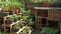 6 Cara Menata Kebun Sayur dan Ternak di Lahan Sempit agar Minim Biaya