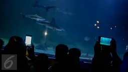 Pengunjung mengabadikan ikan di SeaWorld Ancol, Jakarta, Minggu (25/12). Seaworld menjadi tempat favorit pengunjung dalam liburan dikarenakan mereka bisa sambil belajar untuk putra-putrinya mengenal biota laut. (Liputan6.com/Faizal Fanani)