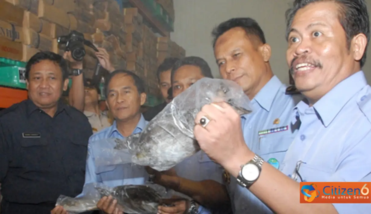 Citizen6, Jakarta Utara: Dirjen Pengawasan Sumber Daya Kelautan dan Perikanan (PSDKP ) KKP, Syahrin Abdurahman mengatakan bahwa, bahwa jumlah ikan ilegal yang disita dari Sidak di Muara Baruadalah berjumlah 100 ton ikan. (Pengirim: Efrimal Bahri)