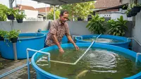 Tips Usaha Ternak Ikan Panen 6 Bulan untuk Slow Living di Desa,  Raih Ketenangan Hidup