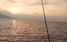 12 Spot Mancing Paling Nyaman 2025 di Situbondo, Cocok Buat Santai Bareng Alam