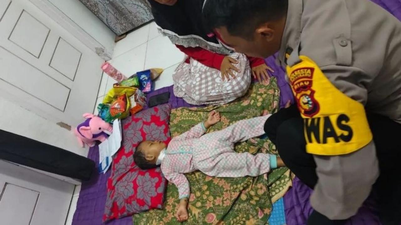 Fakta Unik Rabies: Dinkes Pekanbaru Beri Vaksin Rabies ke 9 Korban Gigitan Anjing Liar, Kondisi Stabil!