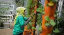 Petugas mengecek kondisi bibit bunga di Balkot Farm yang terletak di Balai Kota DKI Jakarta, Senin (16/9/2019). Dengan adanya Balkot Farm ini, dapat bermanfaat untuk menyerap polutan dan meningkatkan kualitas udara.  (Liputan6.com/Faizal Fanani)