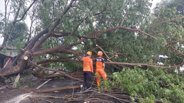 Dampak Cuaca Ekstrem