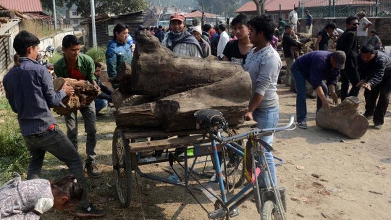 Krisis BBM, pemerintah Nepal jual kayu bakar