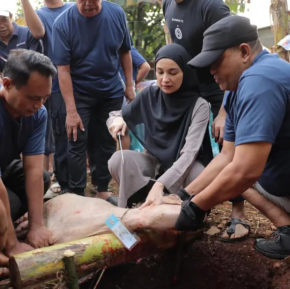 Tampil Syar'i dan Anggun, Ini Gaya Shireen Sungkar Saat Sembelih Hewan Kurban Sendiri