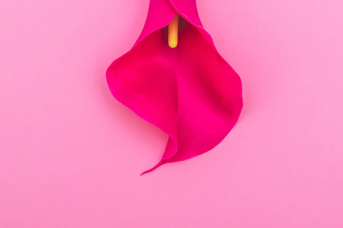 Vagina