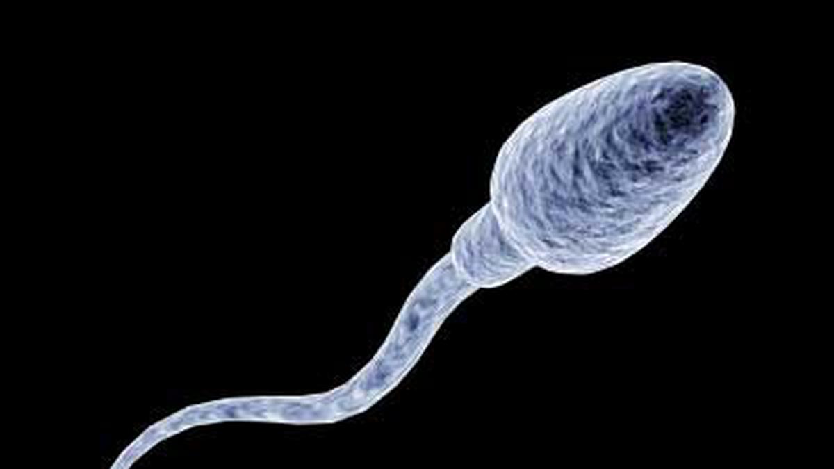 Aishvarya Rai jinsiy aloqada