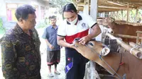 Ketua DPRD Klungkung AA Gde Anom saat meninjau peternakan sapi di Desa Akah (Ist)