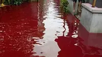 Air banjir berwarna merah, di Pekalongan. (Foto: Liputan6.co,/FB. Dudo Anak Limo)