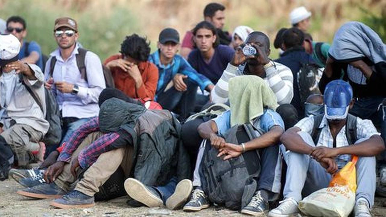 50 Imigran gelap ditemukan tewas di atas truk