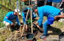 Fakta Unik: Pohon Alpukat dan Durian Jadi Penjaga Mata Air Utama Rejang Lebong, Bupati Ajak Warga Lestarikan Sumber Air