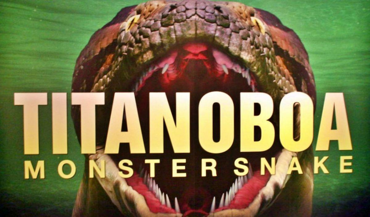 Tapi ular itu bernama Titanoboa (cerrejonesis Titanoboa) ular raksasa terbesar yang pernah ada di muka bumi.