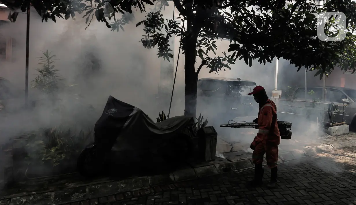 Petugas melakukan pengasapan (fogging) di halaman rumah warga, Pesanggrahan, Jakarta, Kamis (6/10/2022). Fogging dilakukan untuk untuk memberantas perkembangbiakkan nyamuk Demam Berdarah Dengue (DBD). (Liputan6.com/Johan Tallo)