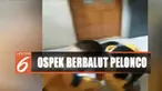 Pihak Universitas Khairun Ternate menyesalkan tindakan itu dan telah memberikan sanksi skorsing kepada empat mahasiswanya.