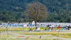 Foto ini menunjukkan pemandangan umum dari jaring yang dipasang oleh petani untuk melindungi tanaman mereka di sebuah sawah di Lhoknga, provinsi Aceh, pada tanggal 10 Januari 2024. (CHAIDEER MAHYUDDIN/AFP)