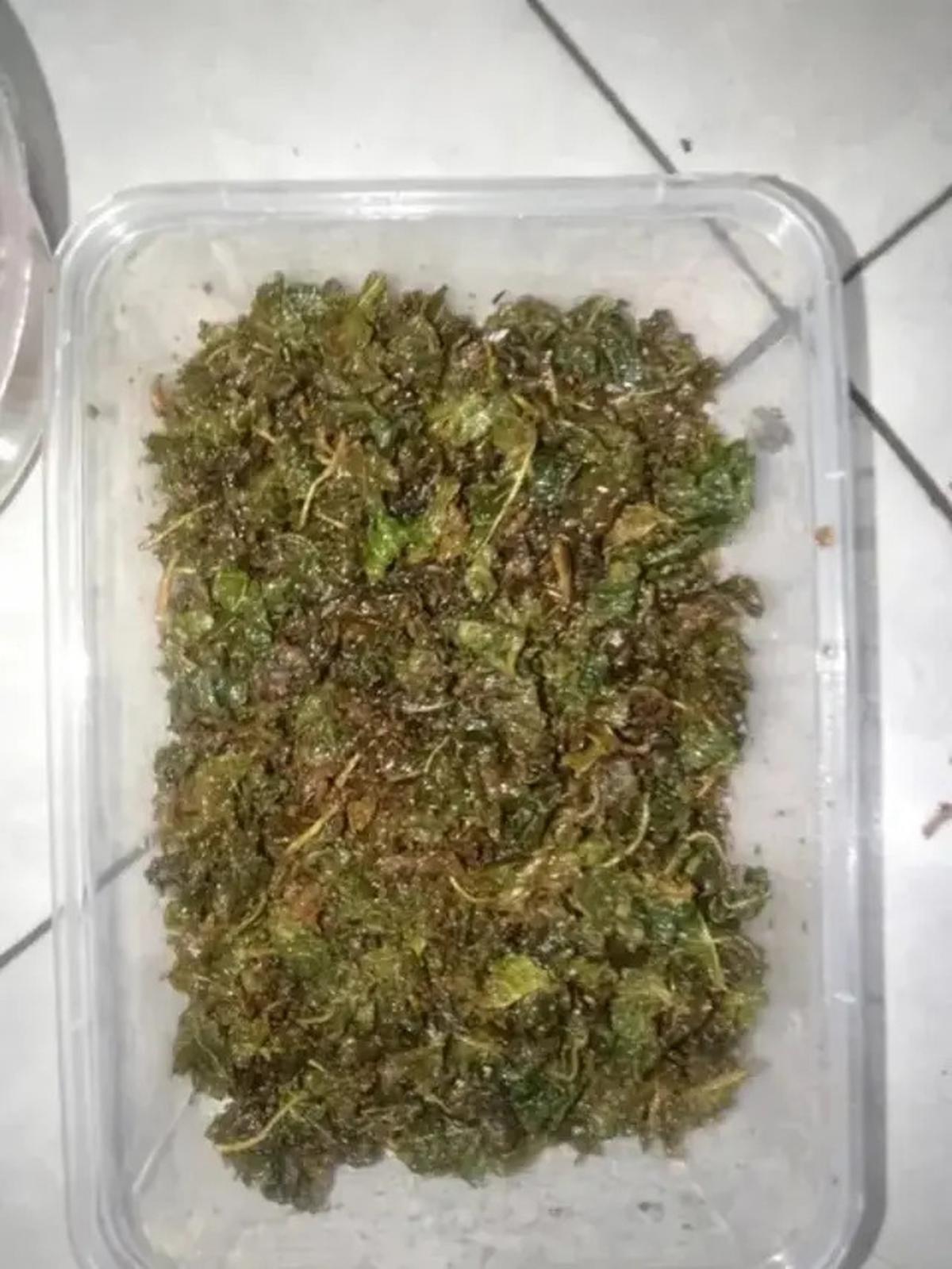 3 Resep Bayam Krispi yang Bisa Jadi Lauk Makan sampai Camilan