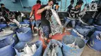 Aktivitas nelayan saat menurunkan ikan hasil tangkapan di Pelabuhan Muara Baru, Jakarta, Kamis (5/8/2021). Data KNTI mencatat, tingkat ekonomi nelayan kembali bangkit dan kian membaik sepanjang tahun 2021 meski masih berada di tengah pandemi Covid-19 yang belum usai. (merdeka.com/Iqbal S. Nugroho)
