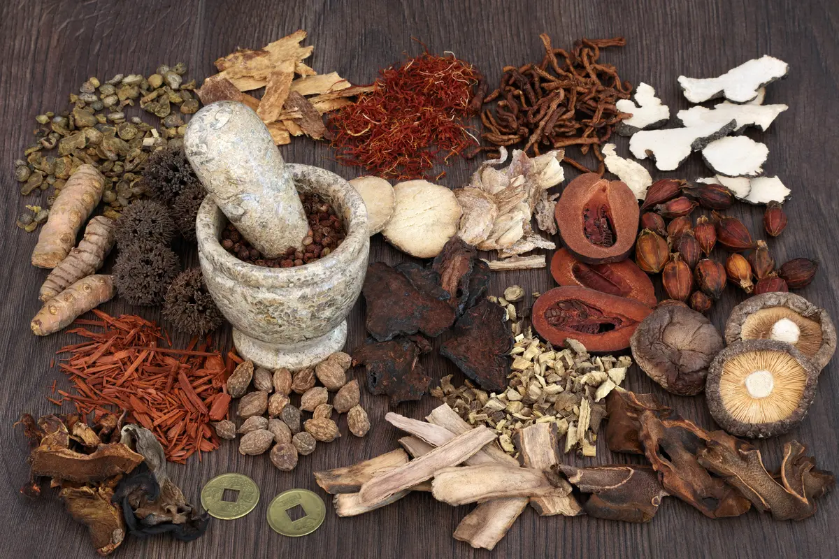 Ilustrasi herbal