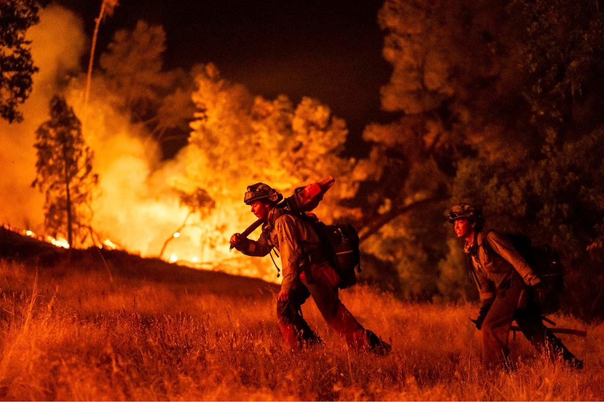 FOTO: Ngerinya Kebakaran Hutan di Napa County, Ribuan Warga California Dievakuasi