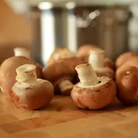 ilustrasi jamur/copyright Pixabay