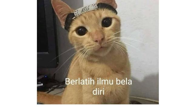 6 Potret Kucing Berdandan Bak Karakter Anime Naruto, Bikin Gemas