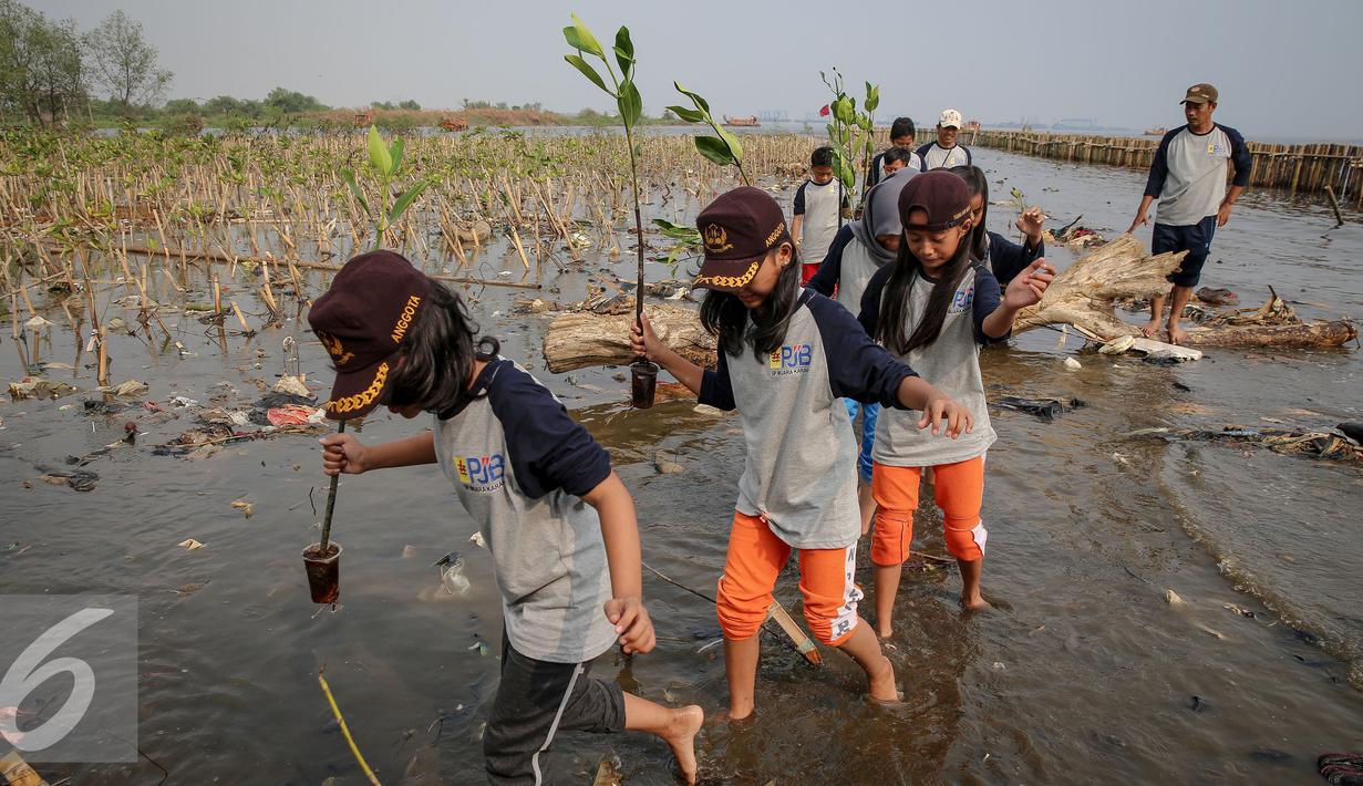 Para murid membawa bibit mangrove untuk di tanam di Pesisir Pantai Muara Karang, Jakarta, Kamis (29/10). 5.000 bibit baru ditanam untuk memperkuat ekosistem yang telah dibangun dan memperbesar manfaat terhadap masyarakat. (Liputan6.com/Faizal Fanani)
