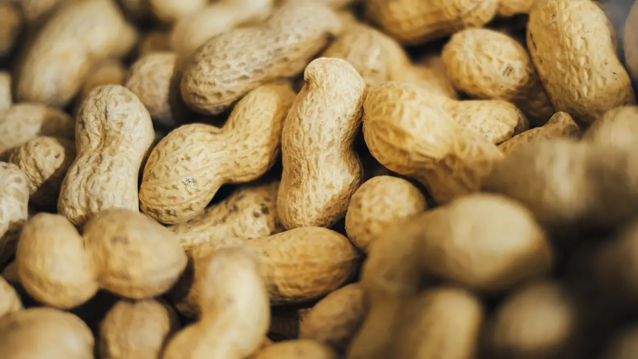 Kacang